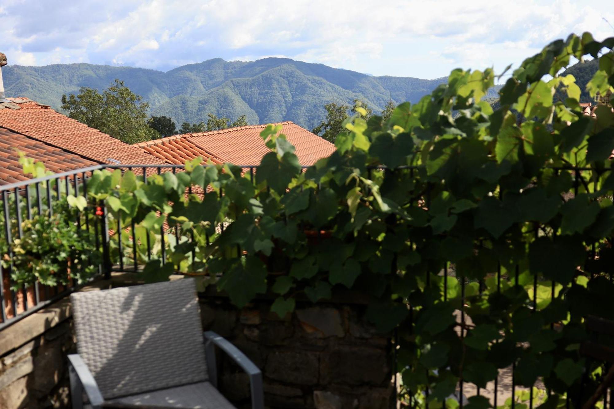 Agriturismo Montagna Verde Apella Licciana Nardi Exteriör bild