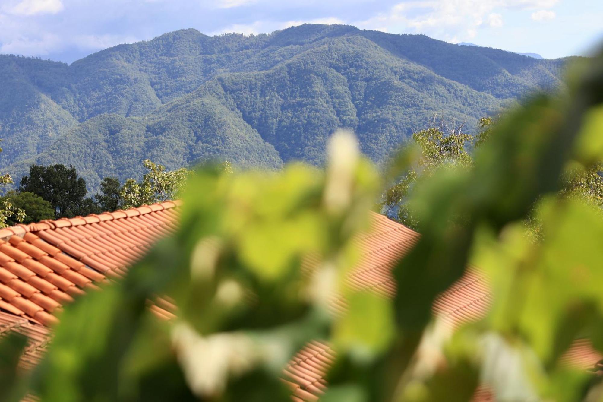 Agriturismo Montagna Verde Apella Licciana Nardi Exteriör bild